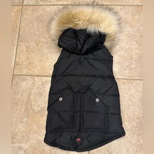 Pajar Canada Pup Dog Puffer Coat